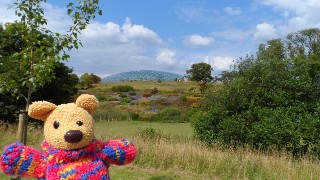 The National Botanic Garden of Wales